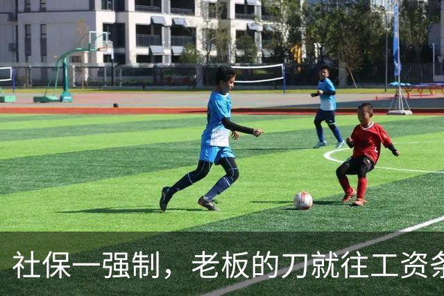社保一强制，老板的刀就往工资条上砍